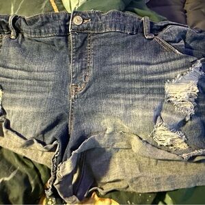 Torrid Blue Denim Jeans